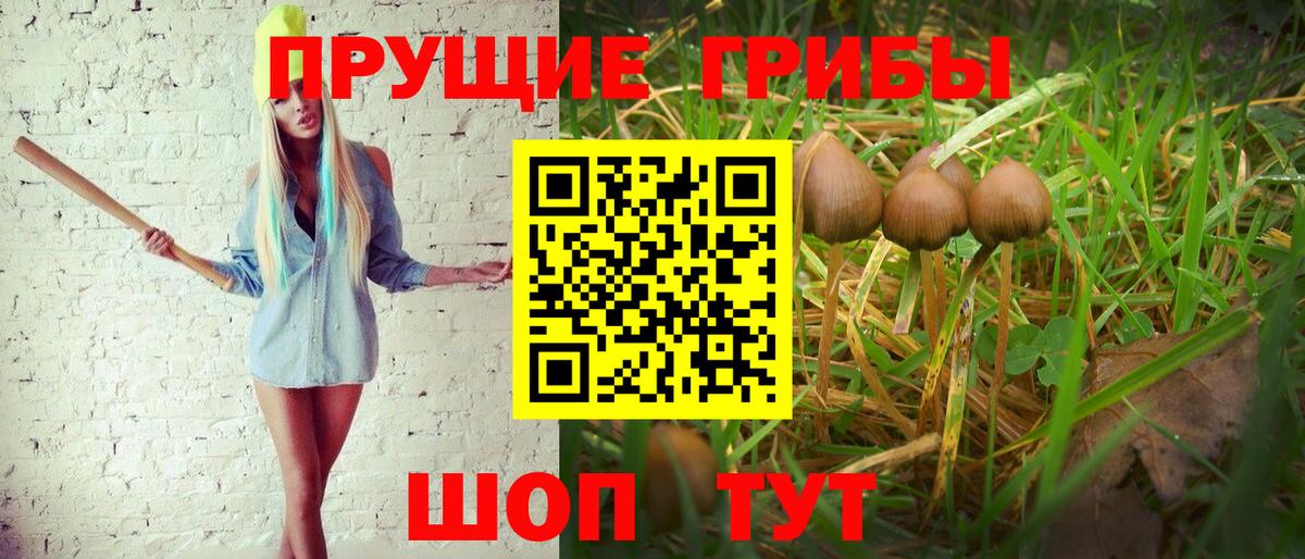 Псилоцибиновые грибы Psilocybe  Вход с VPN  хочу наркоту  Севастополь 